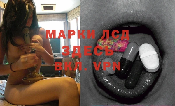 спайс Баксан